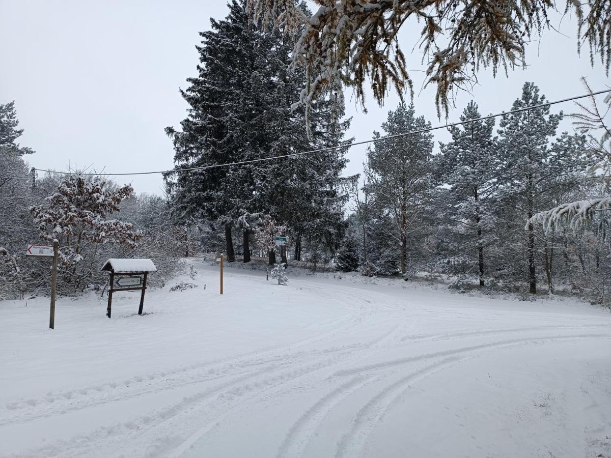 Rykowisko - Domki Caloroczne Nad Jeziorem I Rzeka Щецинек Экстерьер фото